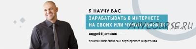 Как стать профессиональным партнером и начать зарабатывать (Андрей Цыганков)