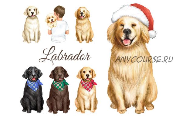 [Creativefabrica] Labrador Dog Clipart. Dog Print. Dog Art (EvArtPrint)