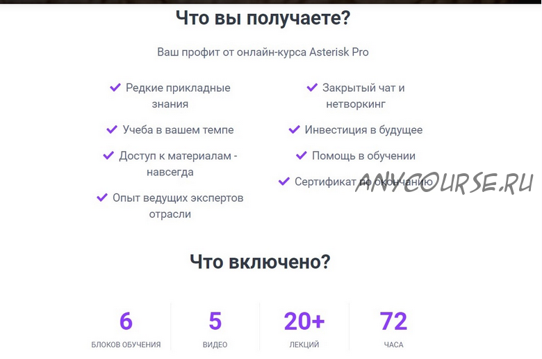 Asterisk Pro продвинутый онлайн-курс (Олег Тундайкин)