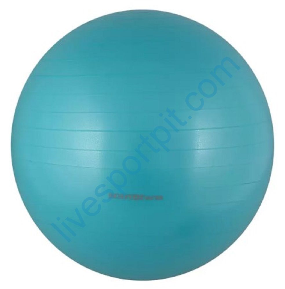Мяч гимнастический BF-GB01AB Body Form
