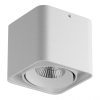 Светильник Накладной Lightstar MONOCCO LED 10W 052316-IP65 Белый, Металл / Лайтстар