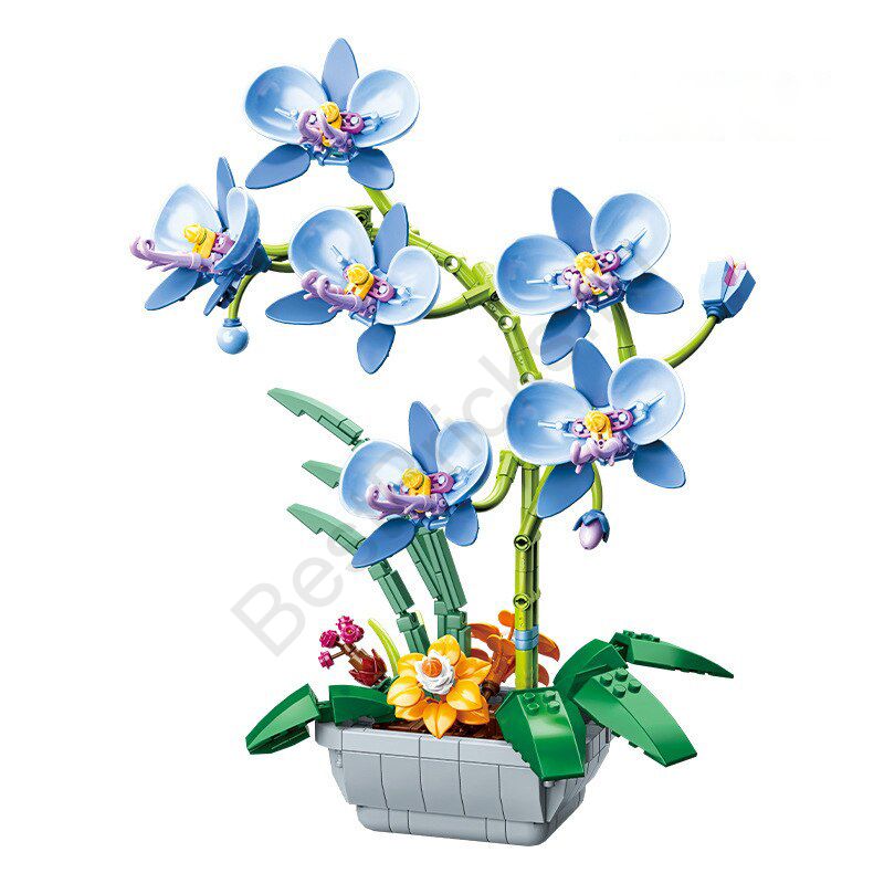Голубая орхидея