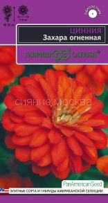 Цинния Захара огненная 5 шт. серия Эксклюзив (Гавриш)