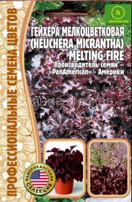 Гейхера Melting Fire мелкоцветков.Pan America, 5др. (Ред.Сем.)