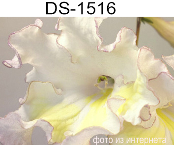 DS-1516 (Диметрис)