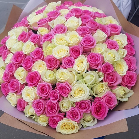 101 белая и розовая роза 50 см