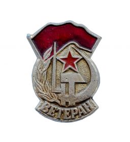 Знак СССР - Ветеран Великой Отечественной Войны