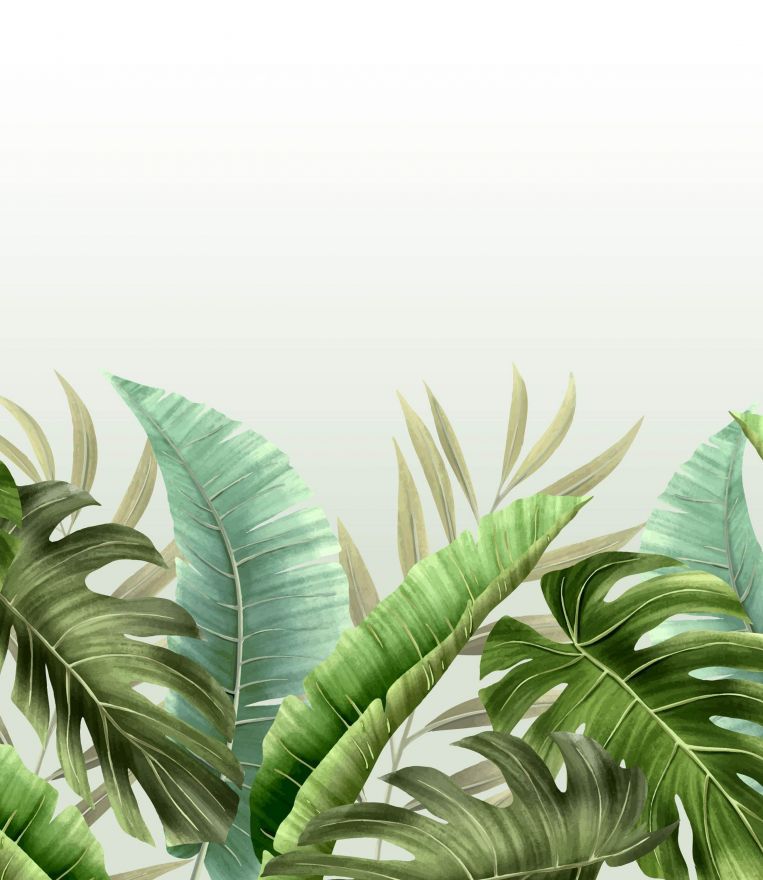 Фотообои Тропические листья