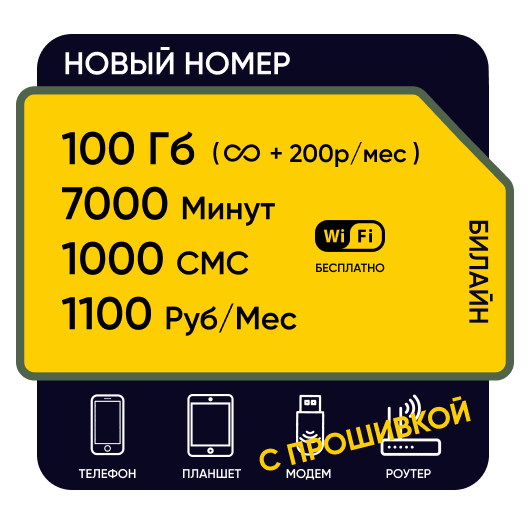SIM-карта Билайн Ключ 1100