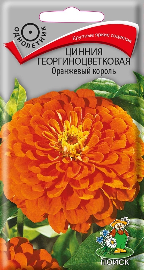 Семена Цинния георгиноцветковая Оранжевый король   0,4гр.