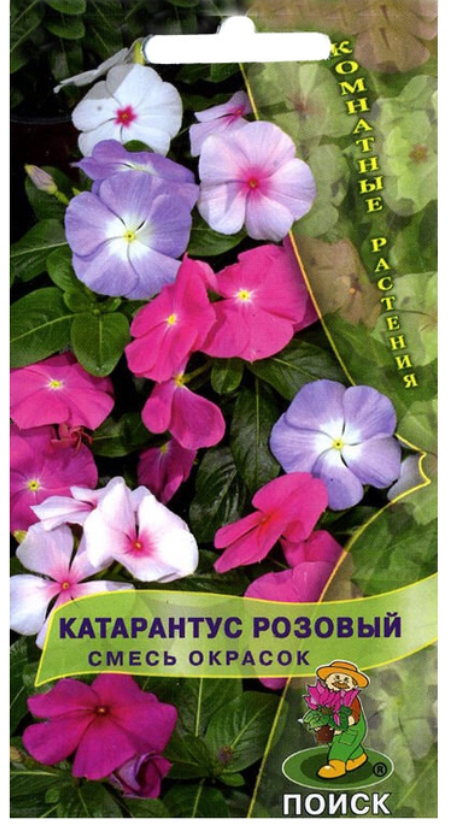 Семена Катарантус розовый Смесь окрасок 0,1 гр