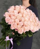 Розы розовые 75 шт 80 см