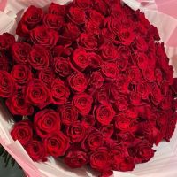 Розы красные 101 шт 80 см