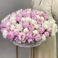 Букет из 101 нежных пионов розовых и белых в корзине