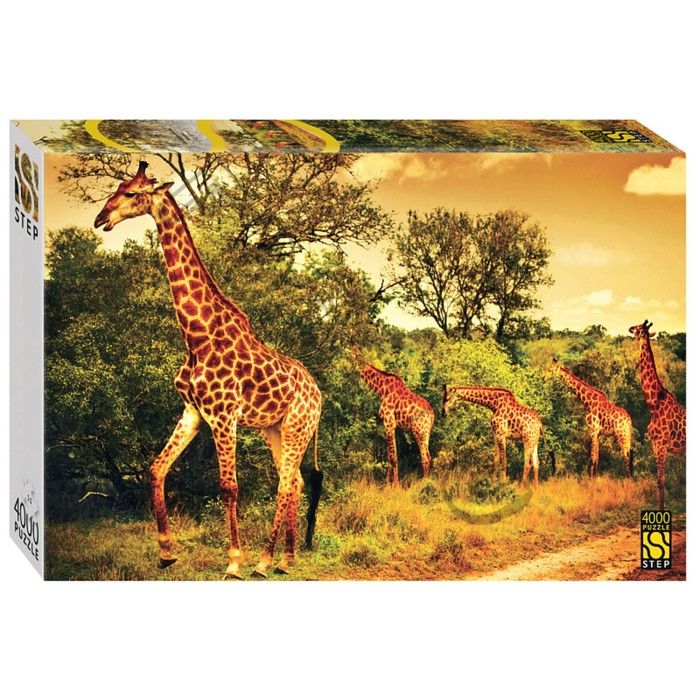 Пазл «Южноафриканские жирафы», 4000 элементов