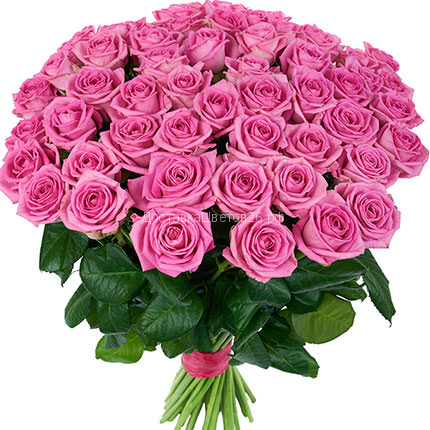 Розовые розы (Россия 50, 60, 70 см)