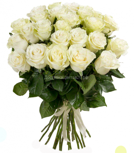 Белые розы (Россия 50, 60, 70 см)