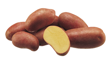Картофель сорта Эсми