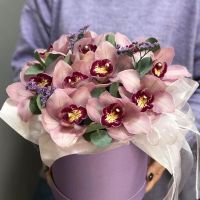 11 коричневых орхидей в коробе