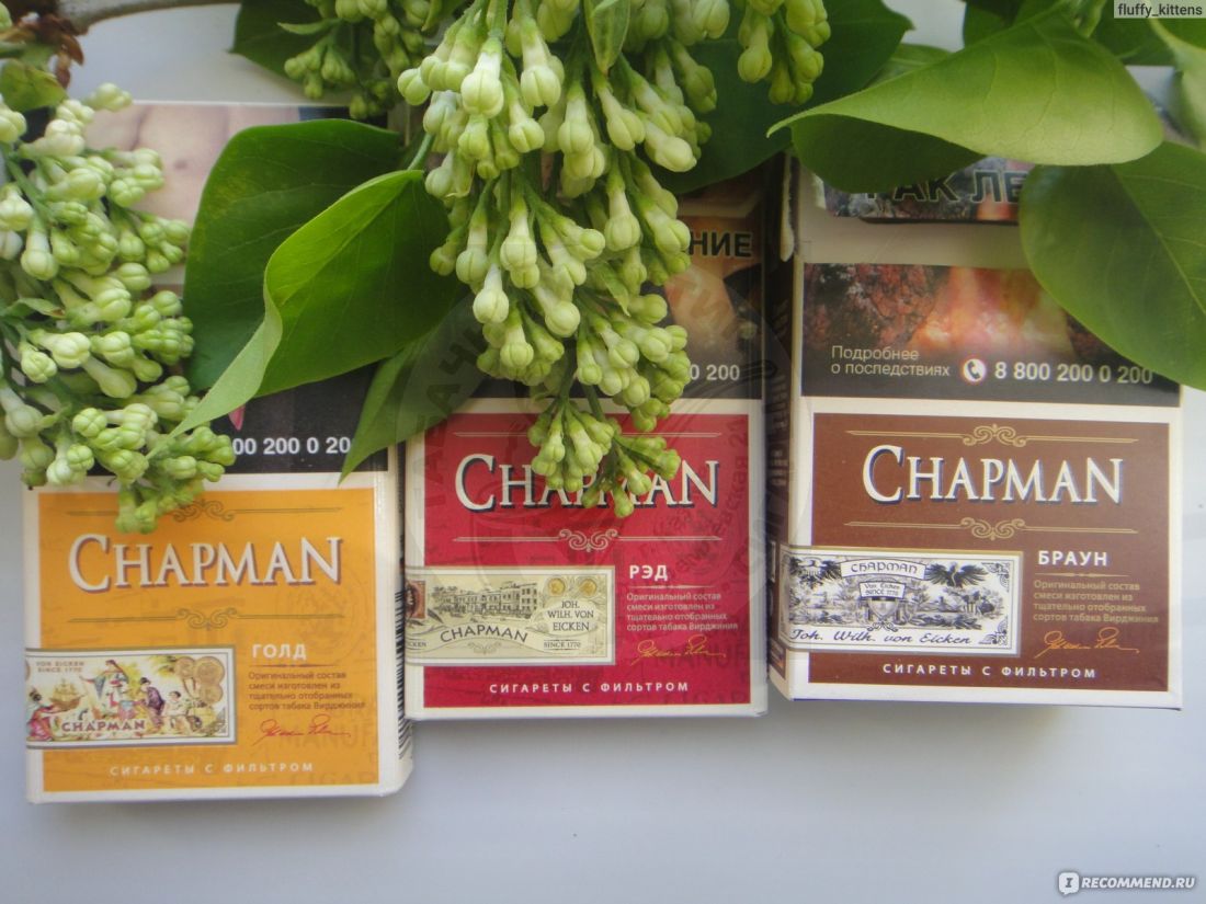Сигареты chapman bianco. Чапман сигареты green. Чапман ред. Сигареты chapman gold голд. Сигареты chapman red.