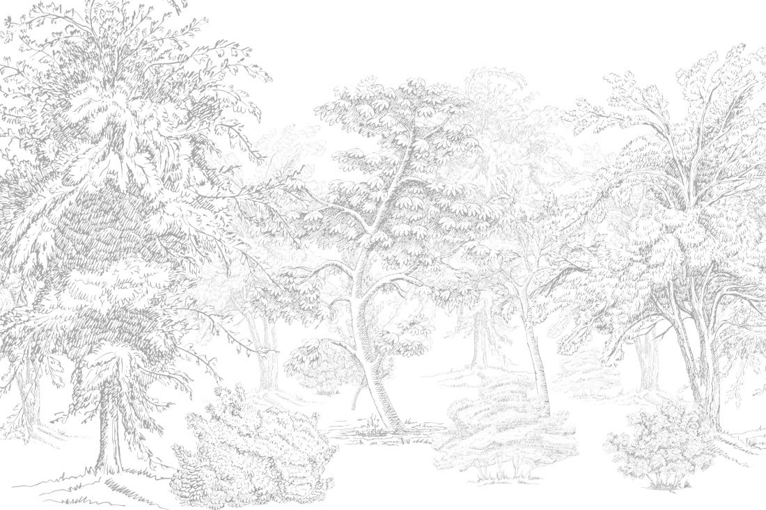 Mono Graphic trees grey
