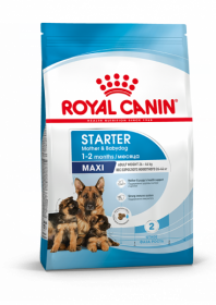 Royal Canin Maxi Starter Корм сухой полнорационный для собак крупных пород (весом от 26 до 44 кг) в конце беременности и в период лактации, а также для щенков в период отъема от матери и до 2-х месячного возраста