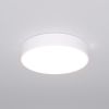 Потолочный светильник Eurosvet 90319 / 1 Белый / Евросвет