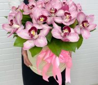 15 розовых орхидей в коробе
