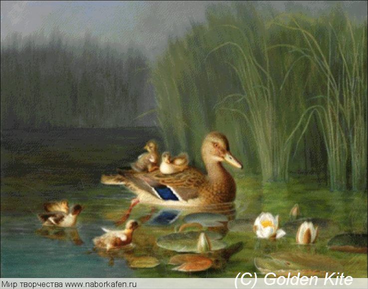 Набор для вышивания "1233 Wild Duck with its Ducklings"