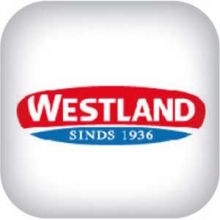 Westland (Голландия)