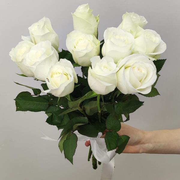11 белых роз (40см)