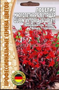 Лобелия многолетняя Queen Victoria (scarlet), 5 драже (Ред.Сем.)