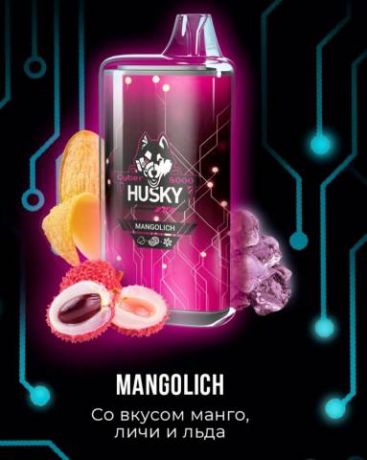 HUSKY CYBER 8000 - Mangolich