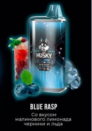 HUSKY CYBER 8000 - Blue Rasp