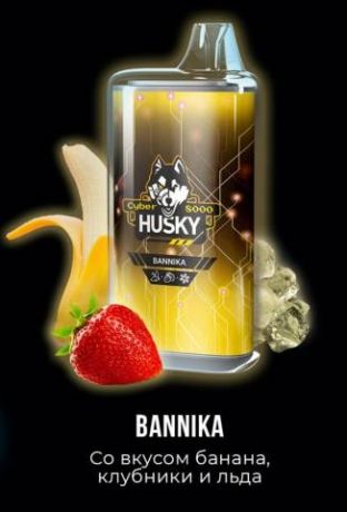 HUSKY CYBER 8000 - Bannika