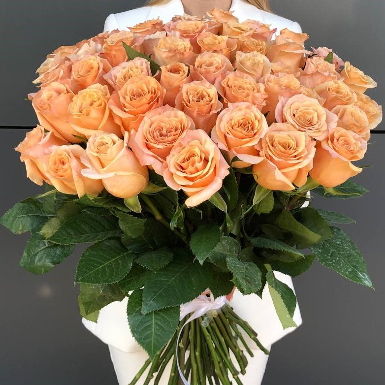 51 персиковая роза 60см