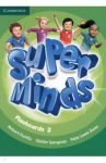 Super Minds. Level 2. Flashcards, pack of 103 / Puchta Herbert, Gerngross Gunter, Lewis-Jones Peter