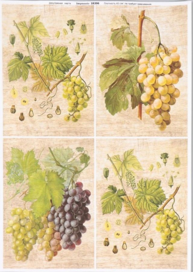 Декупажная карта Impressio, "Виноградные ветки", 18396, 29,7*21см