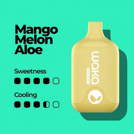 WAKA SMASH 6000 - Mango Melon Aloe