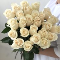 Белые розы Эквадорские