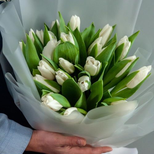 Белые тюльпаны (оформление на выбор)