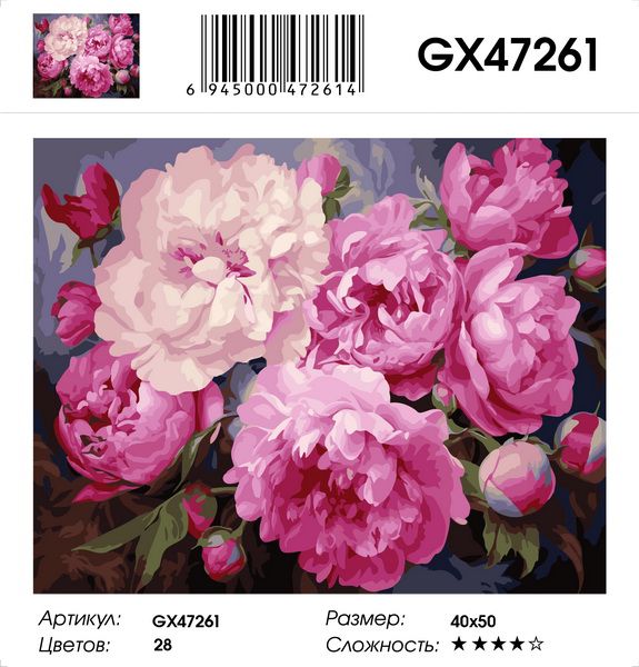 Картина по номерам на подрамнике GX47261