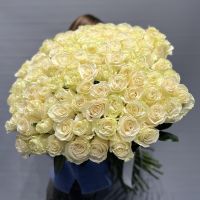Белые розы Эквадор 70см