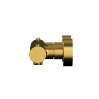 Термостатический смеситель для душа WHITECROSS Y Y1246GLB золото схема 2