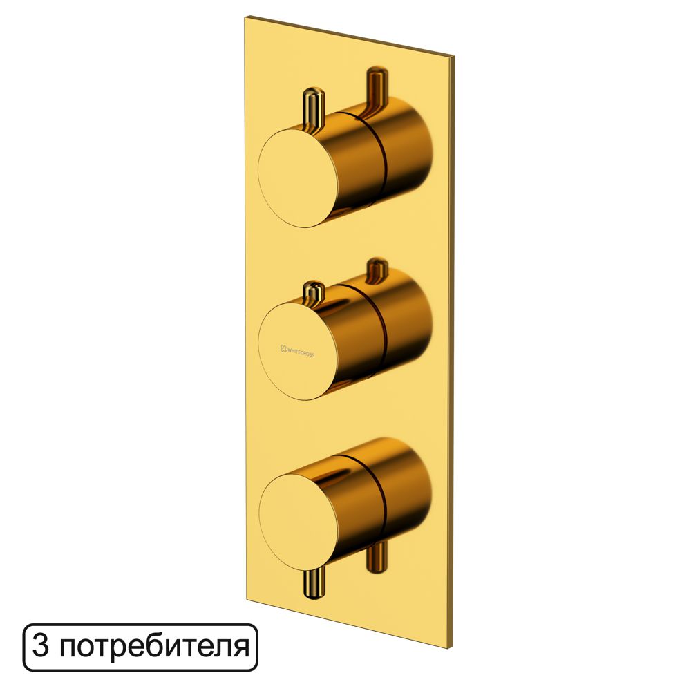 Термостатический смеситель для душа скрытого монтажа WHITECROSS Y Y1238GL золото схема 1