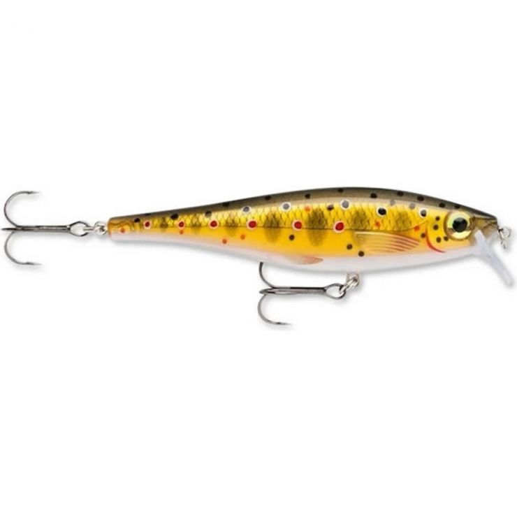 Воблер RAPALA BX Minnow плавающий  (цвет TR) BXM10-TR