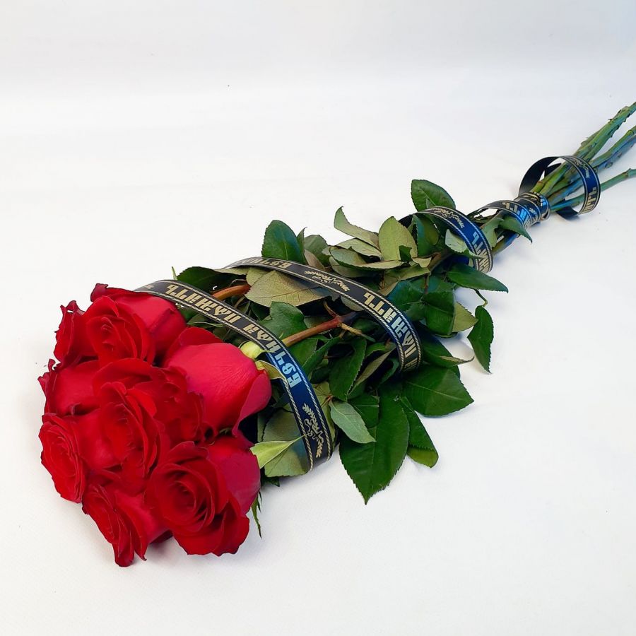 8 высоких крупных красных роз с лентой