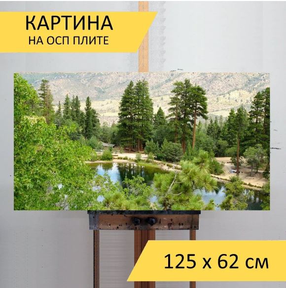 Картина "Горное озеро, летом, лес" для интерьера