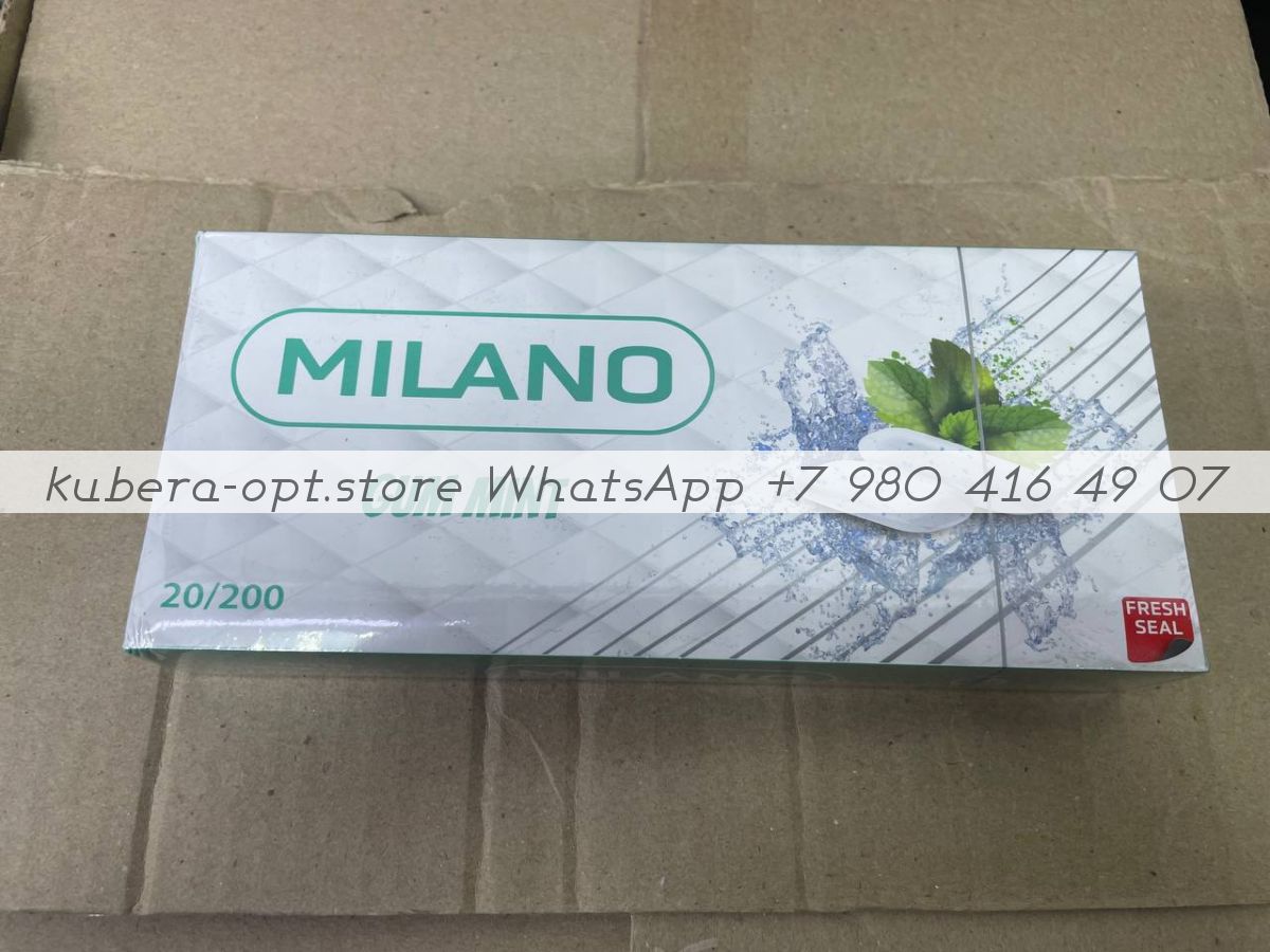 Milano Gum Mint (Милано Мятная Жвачка) от 1 коробки (50 блоков) купить в  Москве России