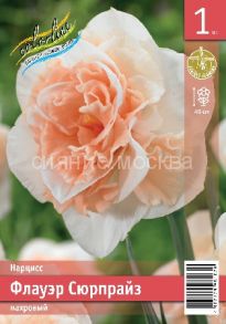 Нарцисс	Флауэр Сюрпрайз (Flower Surprice) 12/14 - 1 шт